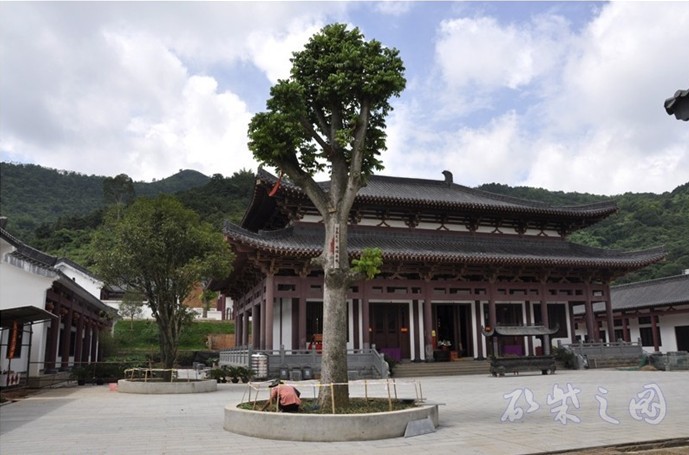 横县旅游又一新亮点——南山应天寺; 横县南山应天寺; 南山应天寺