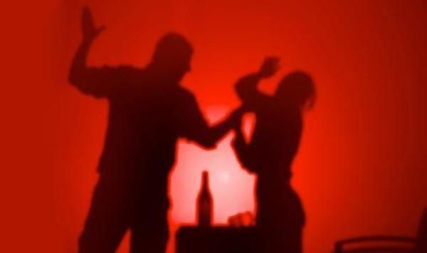 反家暴法极速通过:性暴力未入法 人身保护令