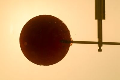 菠萝科学奖 数学奖:一根棒棒糖可以舔1000次-