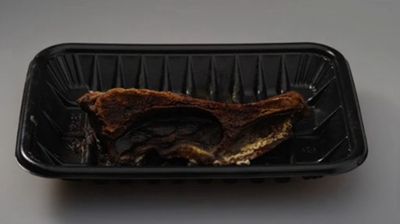 菠萝科学奖 数学奖:一根棒棒糖可以舔1000次-