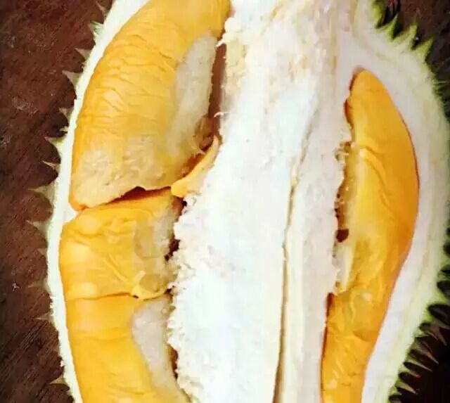 猫山王,榴莲中的极品!-2015东南亚美食节-老友