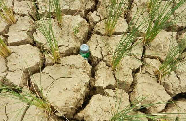 【防灾减灾专栏】暴雨多发的时节,如何防御暴雨灾害来袭?-南宁头条-老友网-南宁网络电视台