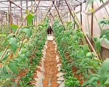 横县网络电视-横县电视台在线直播