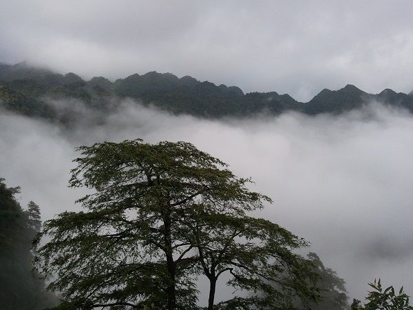 大明山 大明山