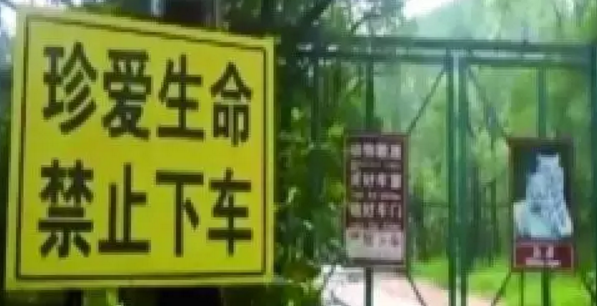 老虎咬死人 调查结果公布:不属于安全生产事故