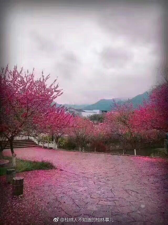 ѧԺһƮ