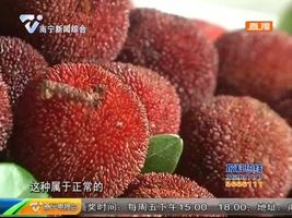 杨梅长虫属正常现象 最好用盐水浸泡15分钟再吃 杨梅长虫属正常现象 最好用盐水浸泡15分钟再吃