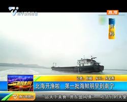 北海开渔啦 第一批海鲜8月17日早上到南宁 北海开渔啦 第一批海鲜8月17日早上到南宁
