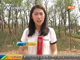 老上尧码头保留仓库塔吊 年底建成历史文化区 老上尧码头保留仓库塔吊 年底建成历史文化区