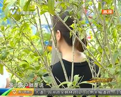 帮朋友担保买车 不料老板跑路惹祸上身 帮朋友担保买车 不料老板跑路惹祸上身