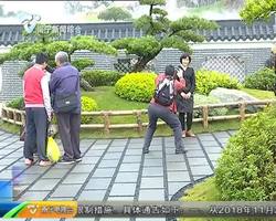 园博园压力测试 3万游客赞不绝口 市民倍增城市自豪感 园博园压力测试 3万游客赞不绝口 市民倍增城市自豪感