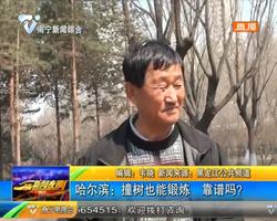 哈尔滨:撞树也能锻炼 靠谱吗? 哈尔滨:撞树也能锻炼 靠谱吗?