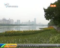 南湖水质治理完工 颜值大幅提升 南湖水质治理完工 颜值大幅提升