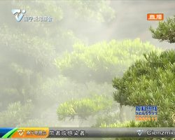 生态的园博 践行绿色发展理念 匠心打造生态园博 生态的园博 践行绿色发展理念 匠心打造生态园博