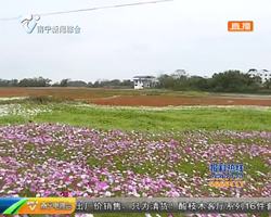 共享的园博 “城乡共享” 惠及周边居民 共享的园博 “城乡共享” 惠及周边居民