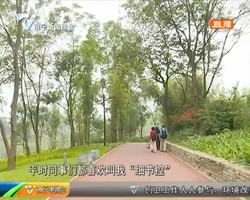 何贤福:“细节控” 只为最美园博 何贤福:“细节控” 只为最美园博