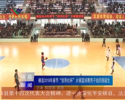 横县2018年春节乡镇篮球赛:男子组四强诞生