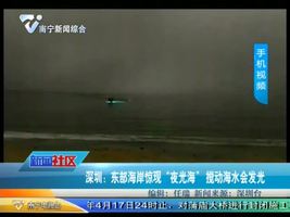 深圳：东部海岸惊现 “夜光海” 搅动海水会发光