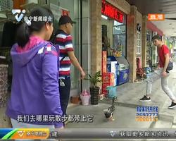 有趣!市民养只宠物鸭帮看店 见人穿拖鞋就猛追 有趣!市民养只宠物鸭帮看店 见人穿拖鞋就猛追