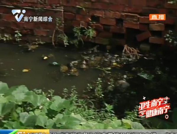 健康南宁 卫生南宁 污水堆积老鼠遍地 金禾湾小区居民难忍受 健康南宁 卫生南宁 污水堆积老鼠遍地 金禾湾小区居民难忍受