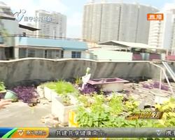 南宁一些老旧小区楼顶杂物成堆 俨然成了“废物场” 南宁一些老旧小区楼顶杂物成堆 俨然成了“废物场”