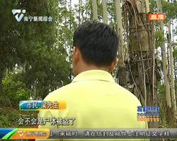 尸体下葬后“不翼而飞” 家属拜了五年空坟 尸体下葬后“不翼而飞” 家属拜了五年空坟