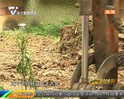 秀灵公寓:铲除小区绿地被投诉 物业表示管理很 “头痛” 秀灵公寓:铲除小区绿地被投诉 物业表示管理很 “头痛”