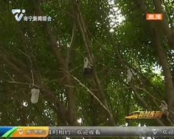 亭洪路:垃圾袋从天而降 市民险些“中招” 亭洪路:垃圾袋从天而降 市民险些“中招”