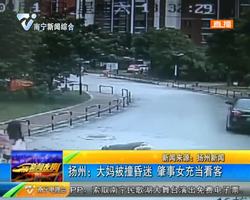 扬州:大妈被撞昏迷 肇事女充当看客 扬州:大妈被撞昏迷 肇事女充当看客