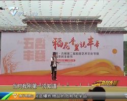 【欢庆中国农民丰收节】 宾阳:稻花香里说丰年 万名游客欣赏稻田艺术 【欢庆中国农民丰收节】 宾阳:稻花香里说丰年 万名游客欣赏稻田艺术