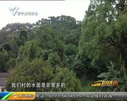 喜看南宁新变化·寻找首府最美乡村 古思村:现代与古典完美结合 喜看南宁新变化·寻找首府最美乡村 古思村:现代与古典完美结合