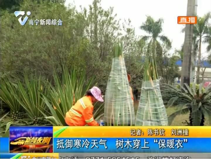 抵御寒冷天气 树木穿上“保暖衣” 抵御寒冷天气 树木穿上“保暖衣”