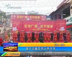 南宁迎春花市火热开市 南宁迎春花市火热开市
