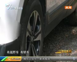“無主”面包車牽出海關最大規模走私食蟹猴案 “無主”面包車牽出海關最大規模走私食蟹猴案