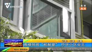 高楼惊现“蛇敲窗” 吓坏小区业主 高楼惊现“蛇敲窗” 吓坏小区业主