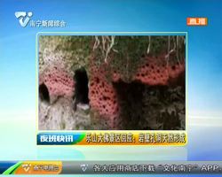 乐山大佛景区回应:岩壁孔洞天然形成 乐山大佛景区回应:岩壁孔洞天然形成