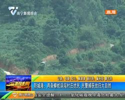 防城港:两条蟒蛇误闯村庄扰民 民警捕获放归大自然 防城港:两条蟒蛇误闯村庄扰民 民警捕获放归大自然