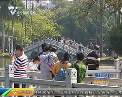 文明过节 赏春景象大不同 清净热闹皆可宜 文明过节 赏春景象大不同 清净热闹皆可宜
