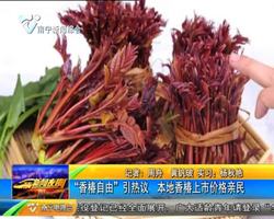 “香椿自由”引热议 本地香椿上市价格亲民 “香椿自由”引热议 本地香椿上市价格亲民