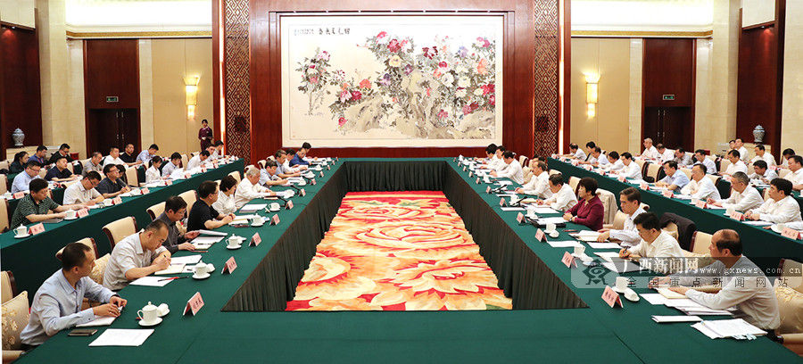 中央扫黑除恶督导广西壮族自治区工作汇报会召