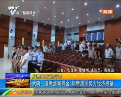 扫黑除恶进行时 武鸣:追缴涉案罚金 斩断黑恶势力经济根基 扫黑除恶进行时 武鸣:追缴涉案罚金 斩断黑恶势力经济根基