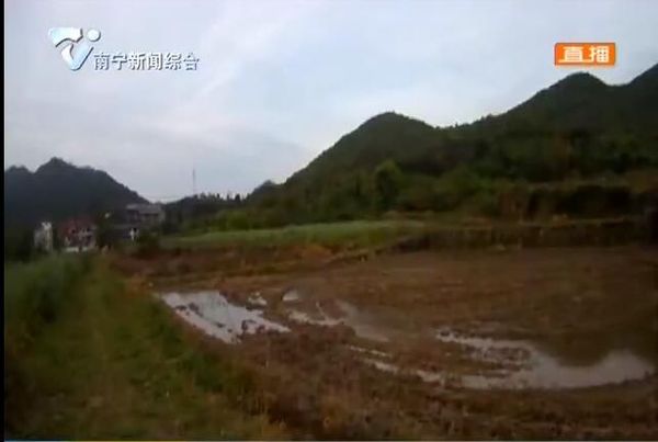 浙江东阳:95岁老人走失 忠犬带路寻人 浙江东阳:95岁老人走失 忠犬带路寻人