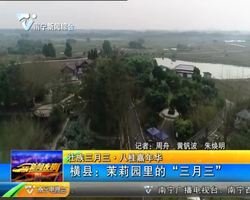 【壮族三月三·八桂?#25991;?#21326;】 横县?#24456;?#33673;园里的“三月三” 【壮族三月三·八桂?#25991;?#21326;】 横县?#24456;?#33673;园里的“三月三”