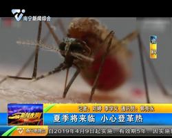 夏季将来临 小心登革热 夏季将来临 小心登革热