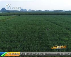 爱国情 奋斗者·新时代 新青年 “95后”无人机培训师:无人机背后的“飞行员” 爱国情 奋斗者·新时代 新青年 “95后”无人机培训师:无人机背后的“飞行员”