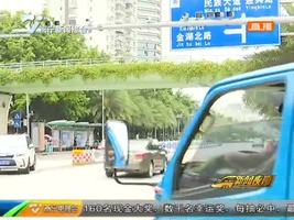 滨湖路:人行天桥就在眼前 路人偏要横穿马路 滨湖路:人行天桥就在眼前 路人偏要横穿马路