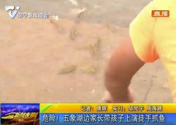 危险!五象湖边?#39029;?#24102;孩子上演徒手抓鱼 危险!五象湖边?#39029;?#24102;孩子上演徒手抓鱼
