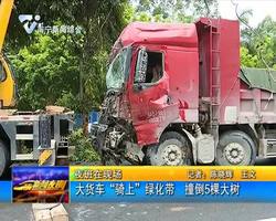 大貨車“騎上”綠化帶 撞倒5棵大樹 大貨車“騎上”綠化帶 撞倒5棵大樹