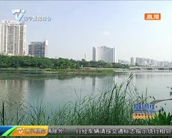 南湖湖面出現“小黑鴨”?它們可是優秀濕地物種 南湖湖面出現“小黑鴨”?它們可是優秀濕地物種