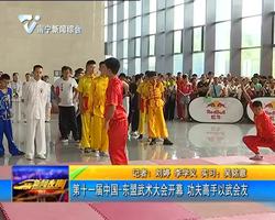 第十一届中国-东盟武术大会开幕 功夫高手以武会友 第十一届中国-东盟武术大会开幕 功夫高手以武会友